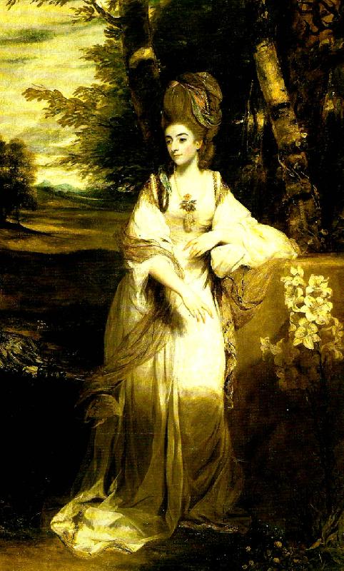 Sir Joshua Reynolds lady bampfylde China oil painting art